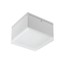 Akron Ceiling lamp