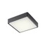 Marina Ceiling lamp