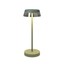 Iluna Table lamp