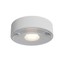 Log Ceiling lamp