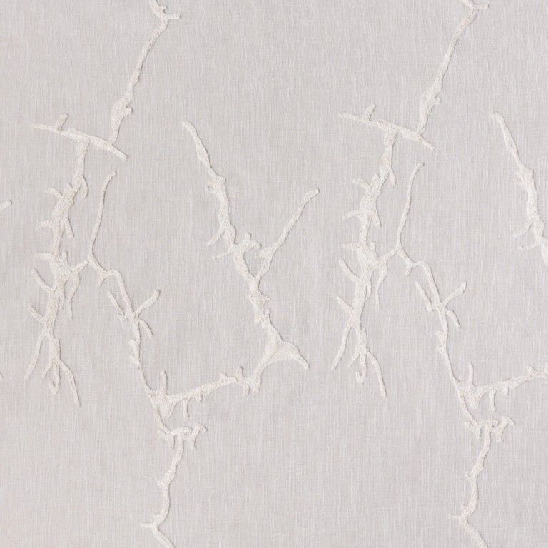 VIOLA