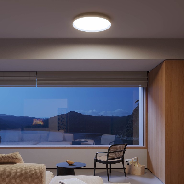 Dama Ceiling lamp