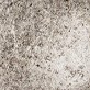 Antiksilber